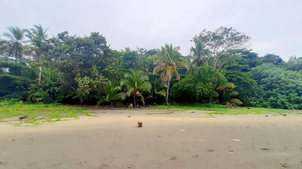 Lapalapa Beachfront Hotel Puerto Viejo de Talamanca Ngoại thất bức ảnh