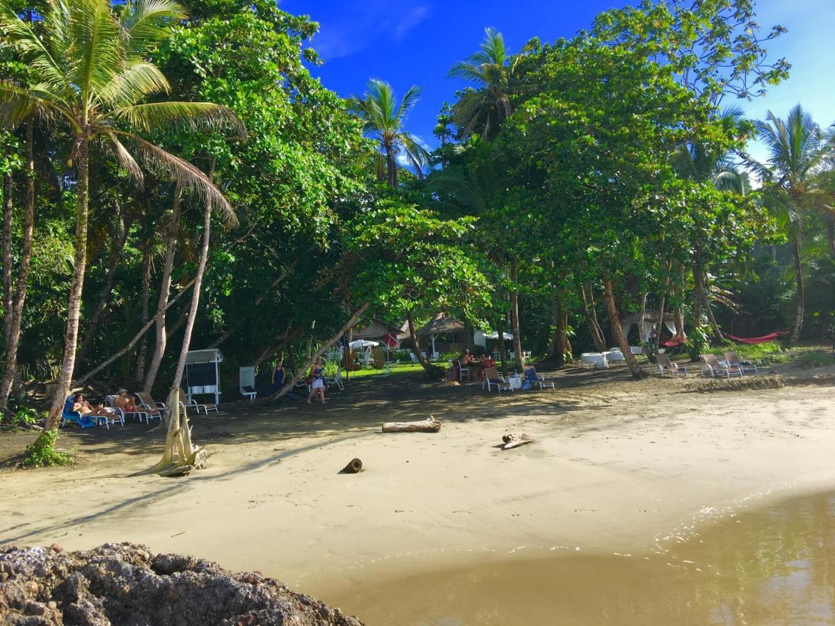 Lapalapa Beachfront Hotel Puerto Viejo de Talamanca Ngoại thất bức ảnh