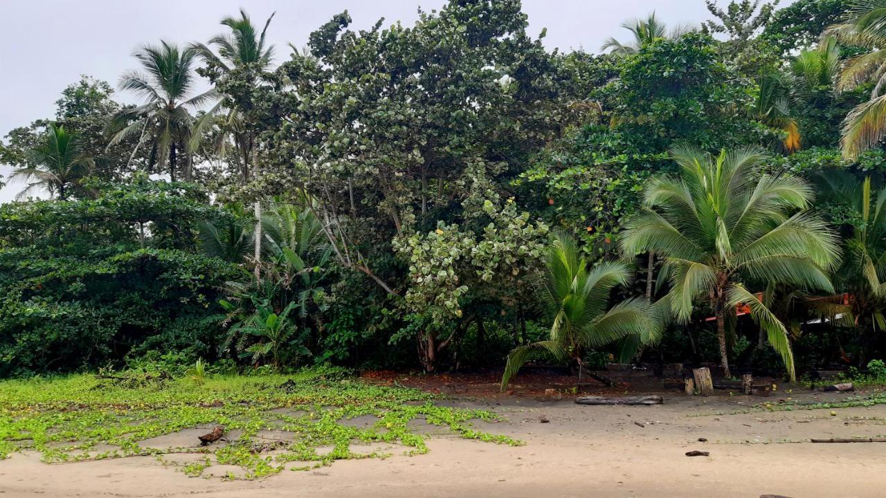Lapalapa Beachfront Hotel Puerto Viejo de Talamanca Ngoại thất bức ảnh