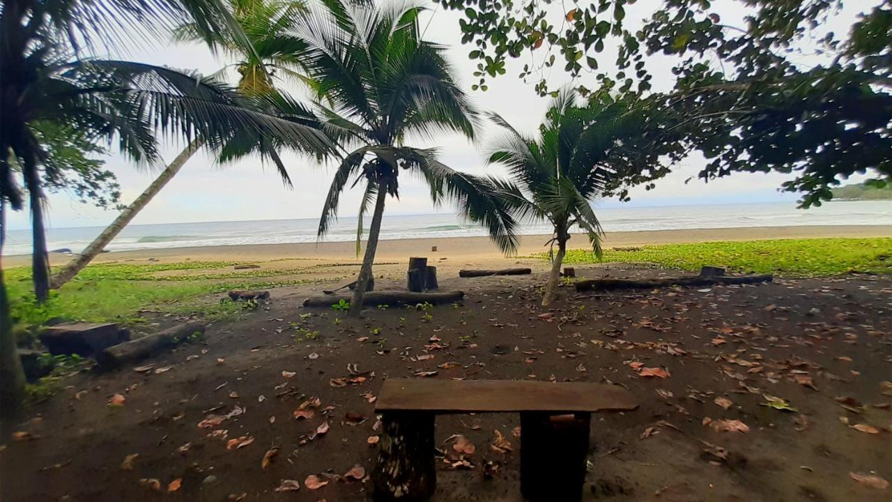 Lapalapa Beachfront Hotel Puerto Viejo de Talamanca Ngoại thất bức ảnh