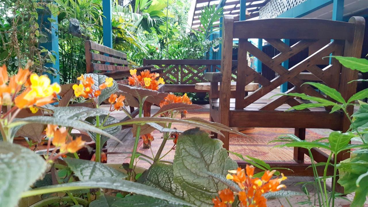 Lapalapa Beachfront Hotel Puerto Viejo de Talamanca Ngoại thất bức ảnh
