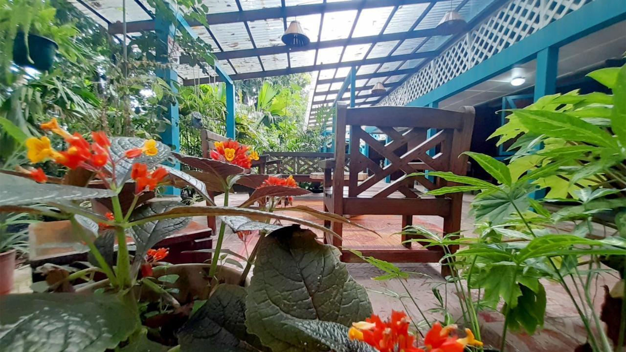 Lapalapa Beachfront Hotel Puerto Viejo de Talamanca Ngoại thất bức ảnh